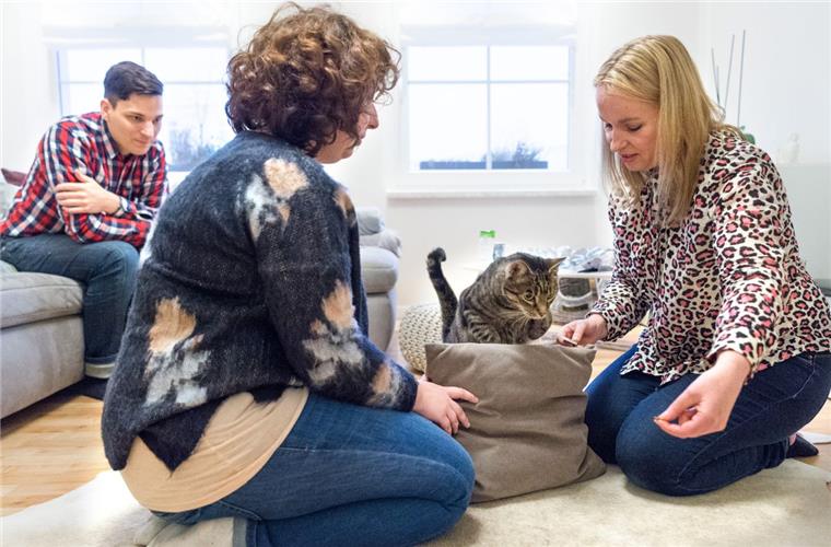 Tierische Psychotherapie: Immer mehr Katzen auf der Couch Die Katzentherapeutin Birga Dexel (rechts) bei der Arbeit mit ihrem tierischen Patienten. Deren Besitzer Florian Kühnel (links) und Melanie Erker schauen gespannt zu.
