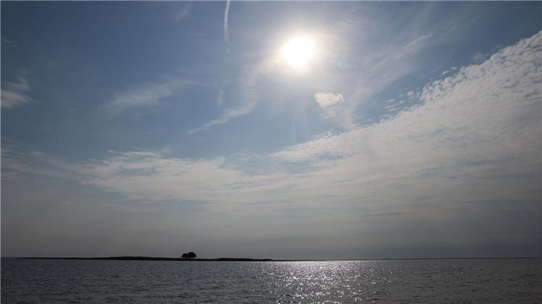 Die kleine Hallig Norderoog ist Brut- und Rastplatz für Tausende, auch bedrohte, Vogelarten. 