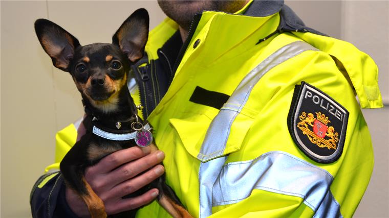 Die kleine Ronja hatte Glück: Nachdem sie ausgebüxt war, fanden sie Passanten in Lehe wieder. 