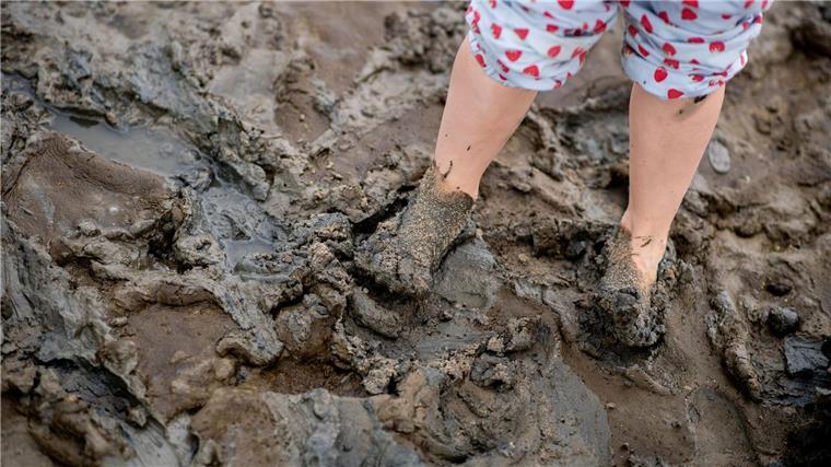 Klimawandel verändert Wattenmeer im Rekordtempo Die Klimaerwärmung im Watt hat auch Folgen für  Menschen (Archvibild)