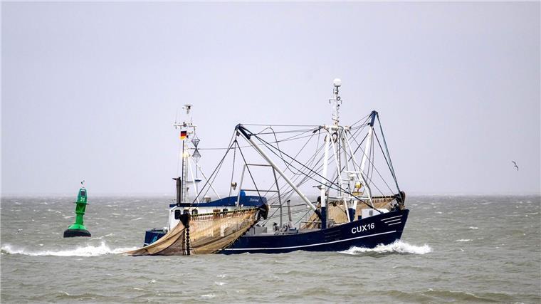 Nordseegarnelen sind knapp und Krabbenbrötchen teuer Die Krabbenfischer an der deutschen Nordsee blicken erneut auf ein sehr schlechtes Jahr zurück (Archivbild).