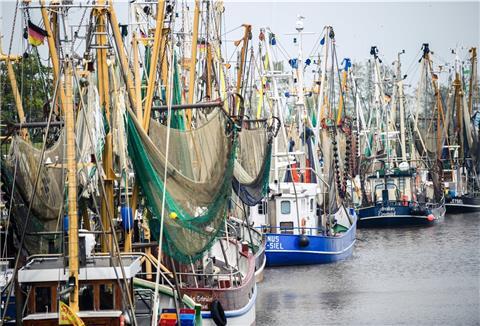 Niedersachsen, Greetsiel: Ein Blick auf den Kutterhafen. 