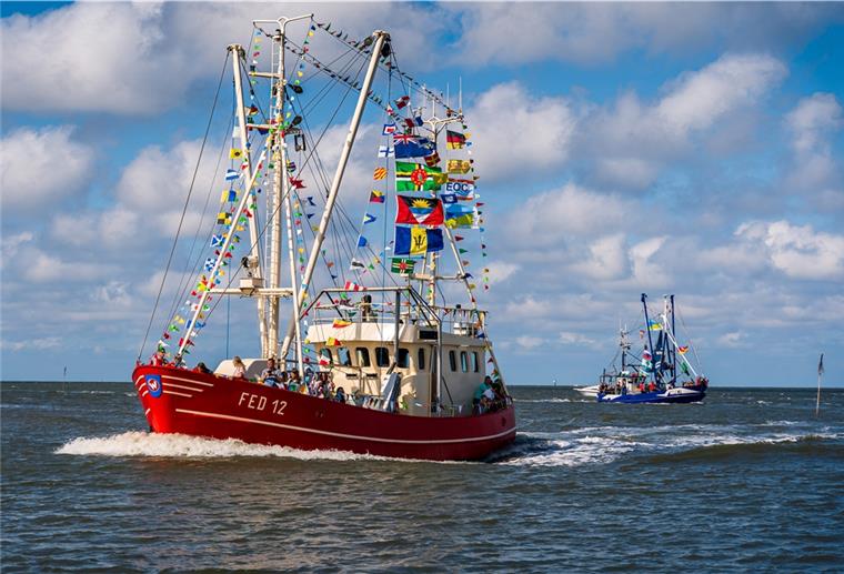 Butjadingen: Krabbenkutterregatta abgesagt Die Krabbenkutterregatta in Fedderwardersiel gehört für gewöhnlich zu den Veranstaltungshöhepunkten in Butjadingen. Doch diesmal wird es keine Regatta geben.