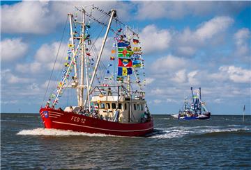 Die Krabbenkutterregatta in Fedderwardersiel gehört für gewöhnlich zu den Veranstaltungshöhepunkten in Butjadingen. Doch diesmal wird es keine Regatta geben.