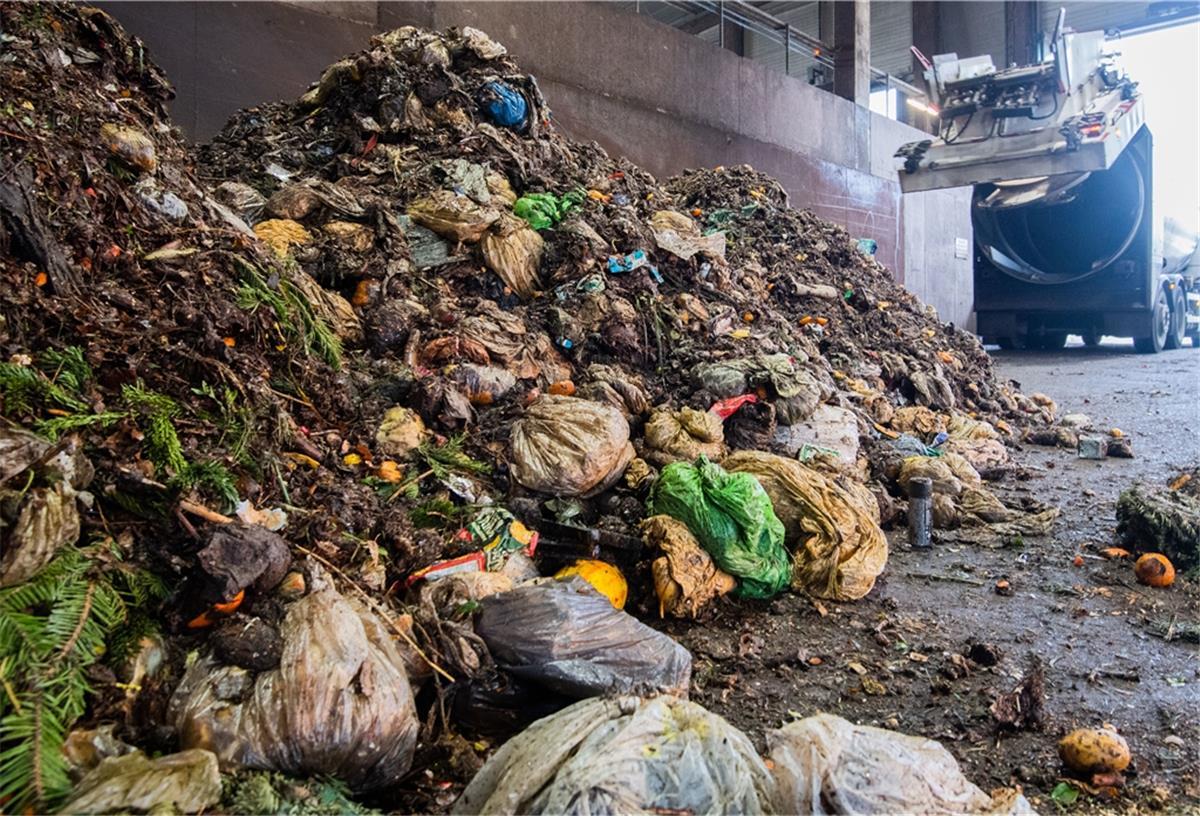 Energieschub aus der Tonne Die Kreise Cuxhaven, Osterholz, Verden und die Stadt Cuxhaven planen gemeinsam den Bau eines großen Biokraftwerks.