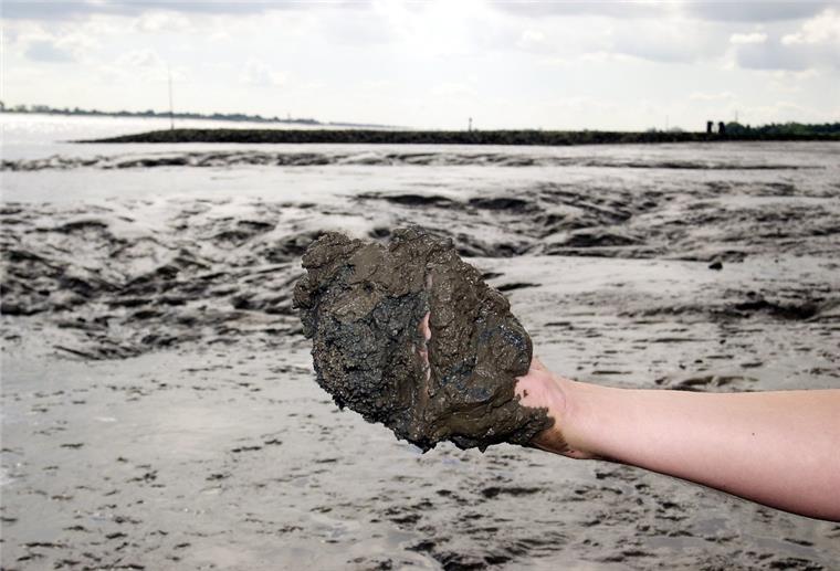 Die Kreistagsmehrheit fordert die „Schaffung einer Alternative für den durch Verschlickung verloren gegangenen Strand in Nordenham“.