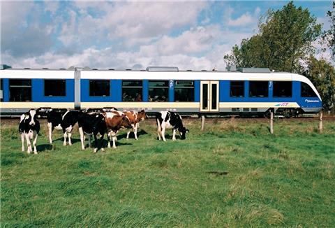 Kühe stehen auf einer Weide. Dahinter fährt ein Zug vorbei.
