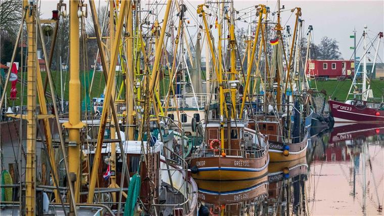 Zukunftspakt: Nordseeorte sorgen sich um Küstenfischerei Die Küstenorte in Niedersachsen und Schleswig-Holstein sorgen sich um die Zukunft der Fischerei. (Archivbild)