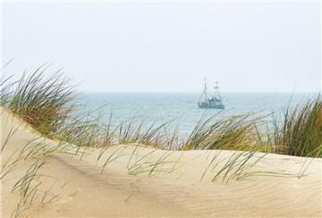 Ein Nordsee-Strand, im Hintergrund das Meer und ein Boot.