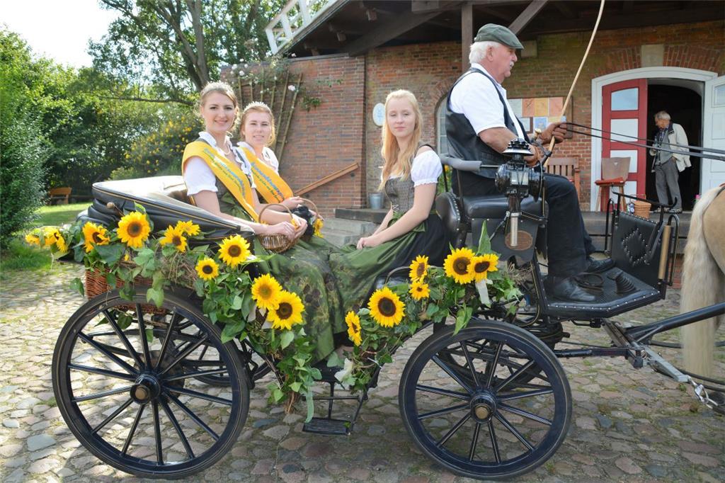 Die Kutsche ist ein angemessenes Gefährt für die Majestäten.