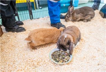 Die Lage im Tierheim Bremerhaven ist angespannt. Futterspenden werden immer wichtiger. 