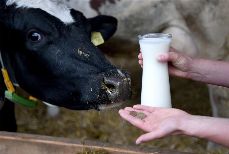 Die Landwirte versuchen mit unterschiedlichen Methoden, gegen die Milchkrise anzukommen. 