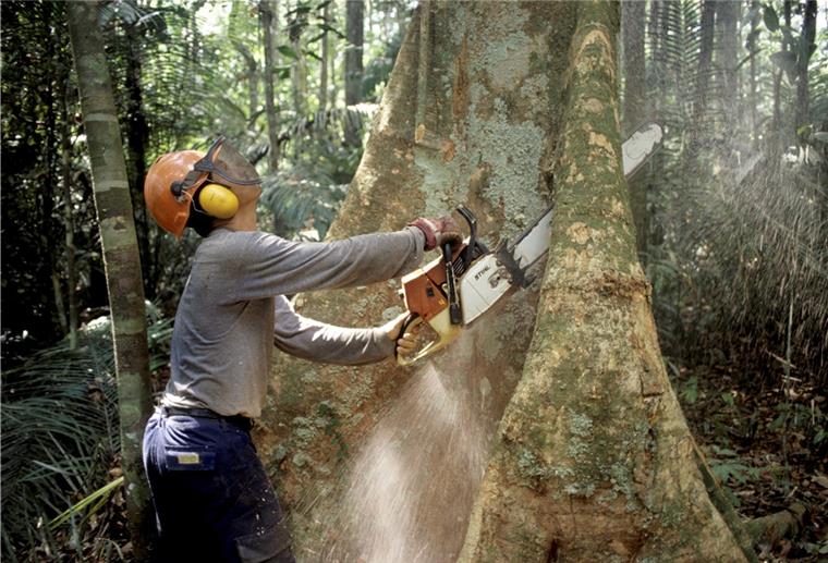 „Fridays for Future“: Gesundheit und Klima gehören zusammen Die massive Zerstörung des Regenwaldes wie hier im Amazonasgebiet in Brasilien und das Vordringen des Menschen birgt die Gefahr, Wildtieren zu nahe zu kommen und das Überspringen von Krankheitserregern möglich zu machen.
