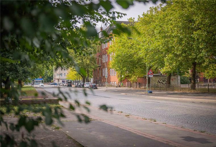Mehrmonatige Bauarbeiten: In dieser Straße ist bald kein Durchkommen mehr Straße Bäume