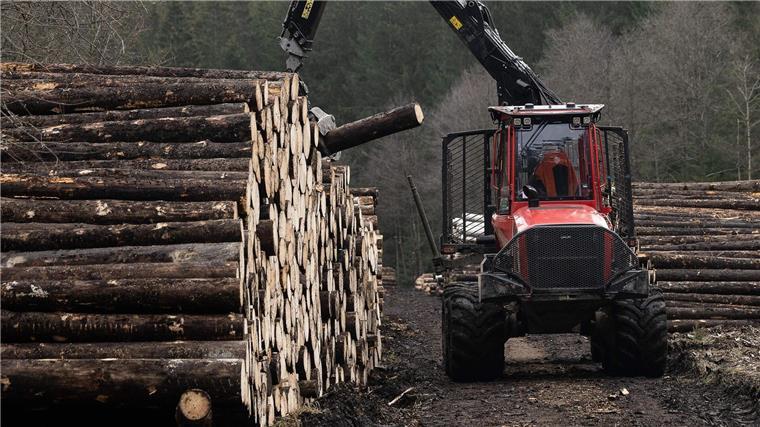 Die Menge des geernteten Holzes ist zuletzt zurückgegangen (Archivbild) 