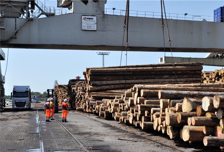 Bauholz wird von Nordenham nach China verschifft Die Midgard in Nordenham verschifft Holz aus deutschen Wäldern nach China.