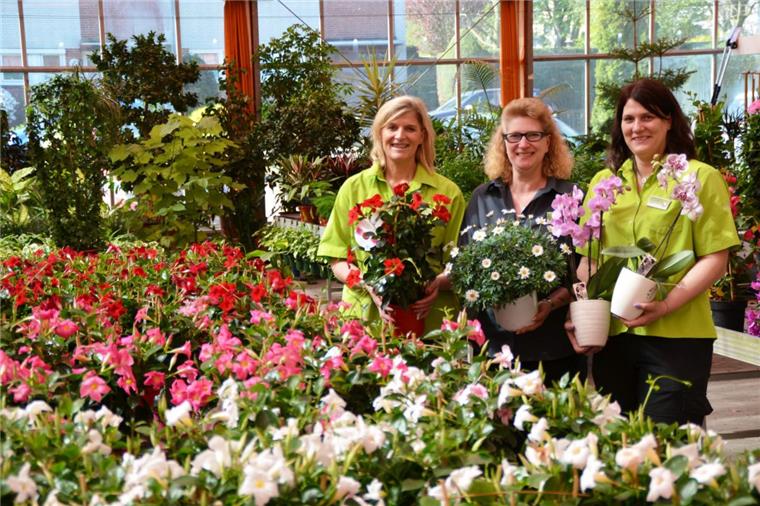 Verkaufsoffener Sonntag in Bremerhaven lockt mit Top-Angeboten für Kinder und Erwachsene Die Mitarbeiter des Gartencenters Wassenaar in Bremerhaven-Wulsdorf freuen sich auf viele Kunden am verkaufsoffenen Sonntag (29. April).