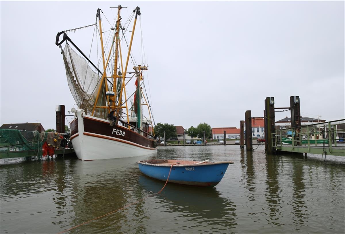Fedderwardersiel: Rockige und leise Töne beim Hafenkonzert Die Musikgruppe EO-IPSO aus Stadland ist am Sonntag ab 11 Uhr beim Hafenkonzert im Fedderwardersieler Hafen zu erleben.