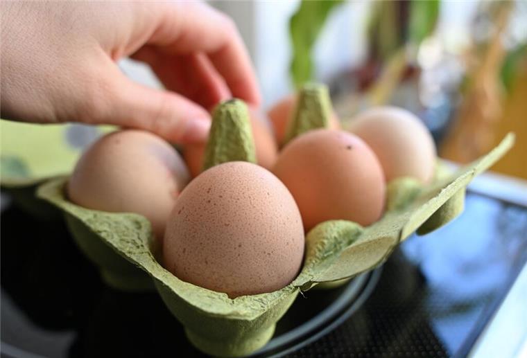 Droht eine Eier-Krise zu Ostern? Die wichtigsten Fragen und Antworten! Eine Hand greift in einer Wohnungsküche nach einem Ei in einem Eierkarton. Eier gehören zu den Grundnahrungsmitteln und unterliegen Preisschwankungen, die von Produktionskosten und Marktentwicklungen beeinflusst werden.
