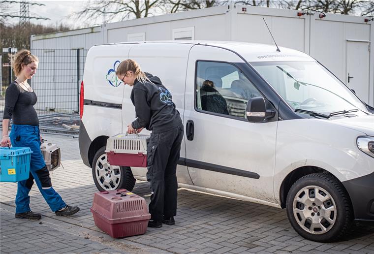 Umzugsstress im Tierheim Bremerhaven Die Nagetiere sind schon da: Die Tierpflegerinnen Nadine Gennermann (links) und Laura Wahlers tragen sie in die neuen Räume am Vieländer Weg.