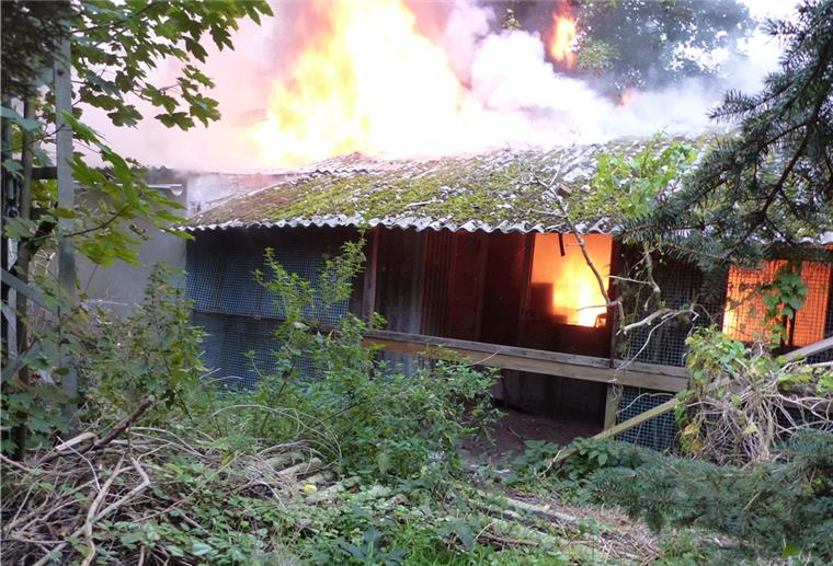 Loxstedt: Einsturzgefahr nach Feuer Die Nerzfarm brannte aus.