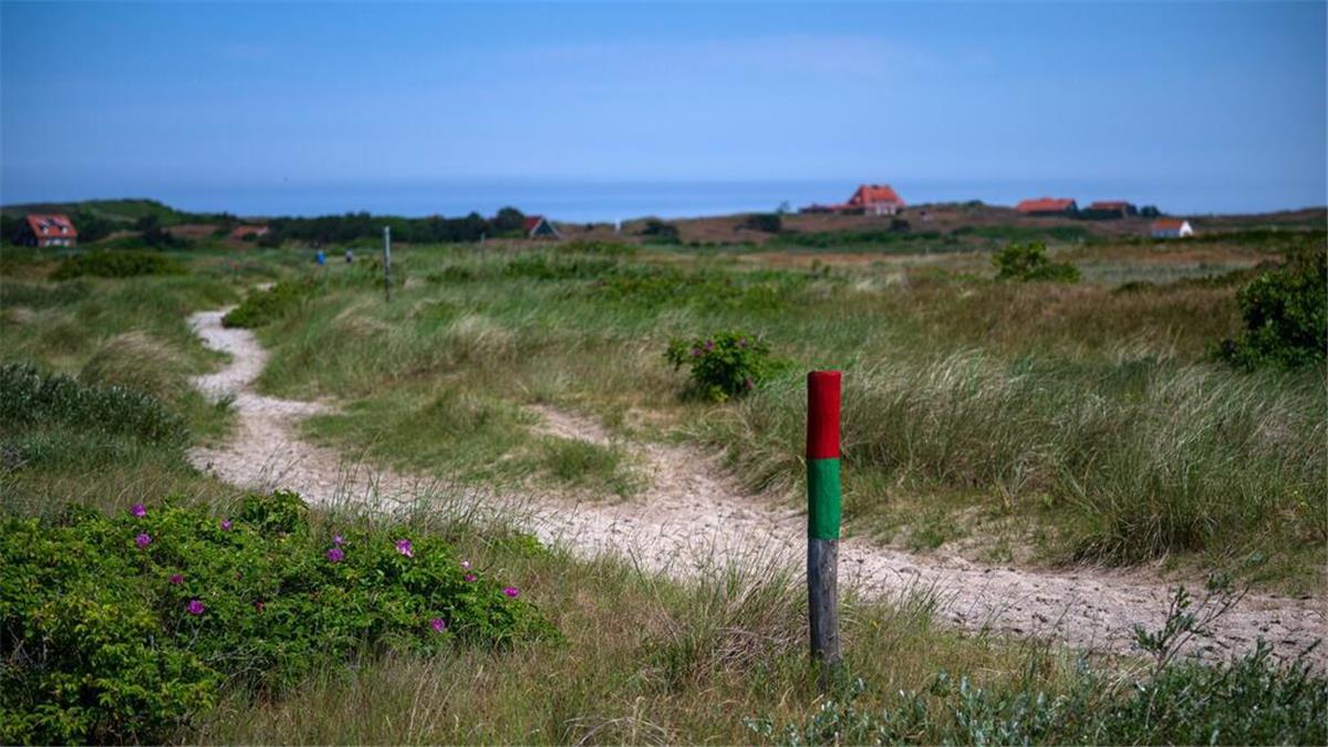 Nordsee-Urlauber aufgepasst! Diese beliebte Insel-Attraktion wird ausgebaut Die neue Abzweigung der Pferdebahn führt rund 900 Meter bis fast zum Zeltplatz im Südwesten der Insel. Durch eine Streckenverlängerung will die Nordseeinsel Spiekeroog ihre traditionsreiche Pferdebahn langfristig erhalten. (Archivbild)