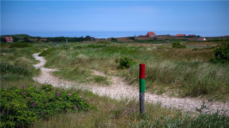Neue Gleise - Spiekeroogs historische Pferdebahn wird länger Die neue Abzweigung der Pferdebahn führt rund 900 Meter bis fast zum Zeltplatz im Südwesten der Insel. Durch eine Streckenverlängerung will die Nordseeinsel Spiekeroog ihre traditionsreiche Pferdebahn langfristig erhalten. (Archivbild)
