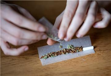 Die neue Bundesregierung hat sich in ihrem Koalitionsvertrag das Ziel gesetzt, Cannabis zu legalisieren. 