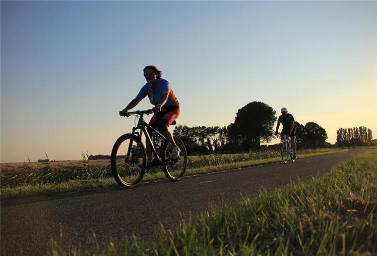 Fahrradfahrer im Grünen