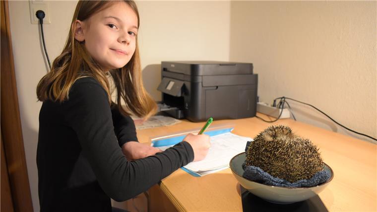 Klara hat ein Herz für Tiere: Besonders die kranke Igel-Dame Auguste hat es der neunjährigen Bokelerin angetan. 
