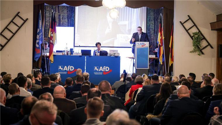 Brandes führt Niedersachsen-AfD in die Bundestagswahl Die niedersächsische AfD stellt ihr Team für den Wahlkampf auf.