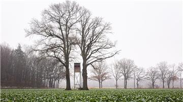 Die niedersächsische Jägerschaft will das bestehende Jagdrecht beibehalten. (Symbolbild)
