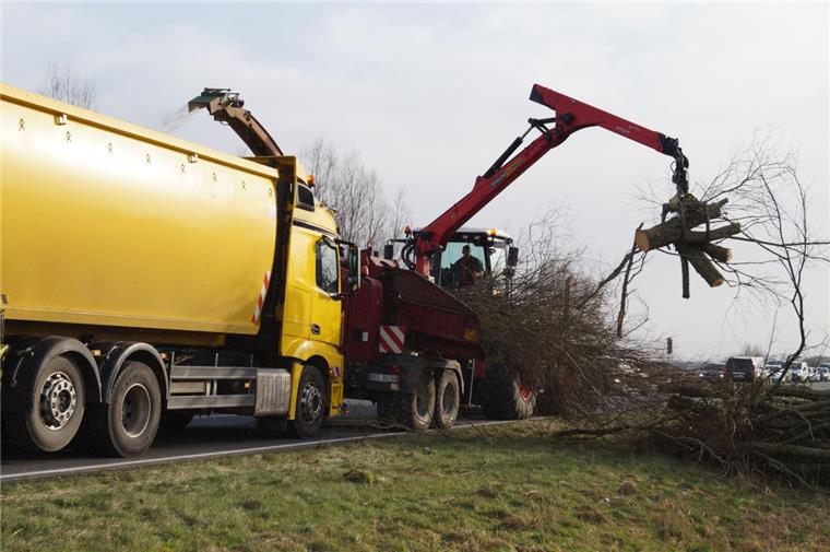 Nordenham: Ab Donnerstag ist die B212 wieder frei Die Niedersächsische Landesbehörde für Straßenbau und Verkehr führt Gehölzpflegearbeiten durch, um die Straßen zu sichern. Das Bild zeigt einen Großhäcksler, der Äste und Baumstämme schreddert.
