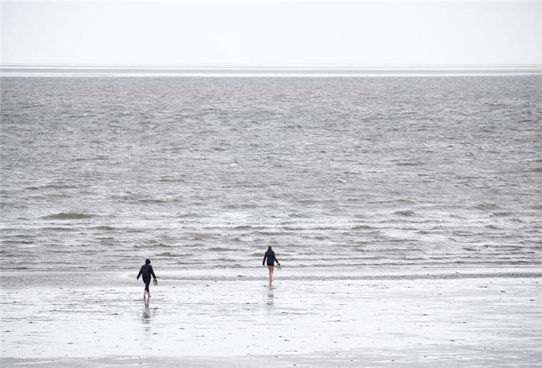 Höchstwert: Deutsche Nordsee 2024 deutlich wärmer als üblich ARCHIV - 30.07.2023, Schleswig-Holstein, Büsum: Spaziergänger sind im Watt vor Büsum unterwegs. (zu dpa: «Bundesamt: Nord- und Ostsee 2024 überdurchschnittlich warm») Foto: Jonas Walzberg/dpa +++ dpa-Bildfunk +++