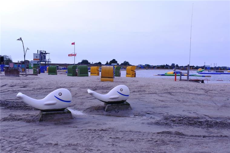 Schwimmbecken der Nordsee-Lagune in Burhave ist wieder geöffnet Die Nordsee-Lagune war am vergangenen Donnerstag komplett gesperrt worden. Das Gesundheitsamt hatte eine zu hohe Keimbelastung festgestellt.