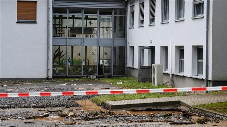 Die Nordwestdeutsche Forstliche Versuchsanstalt berichtet von einem Schaden in Millionenhöhe.