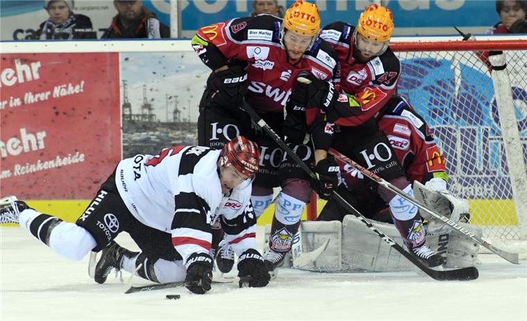 Pinguins gehen im Haifischbecken baden Die Pinguins Jan Urbas (links) und Wade Bergman konnten die Kölner Haie am Sonntagabend nicht stoppen.