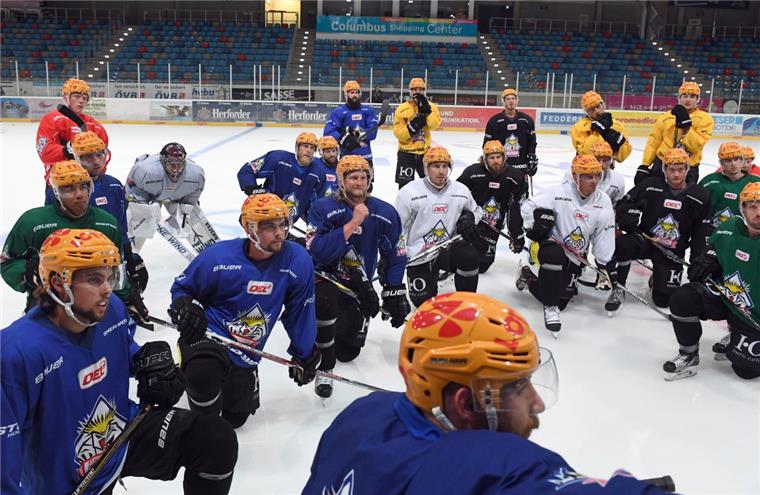 Die Pinguins sind zurück auf dem Eis: Am Dienstag war Trainingsauftakt bei den Bremerhavener Eishockeyprofis.
