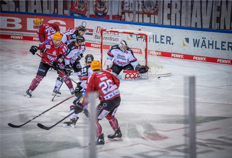 Pinguins sinnen auf Revanche gegen Köln Die Pinguins wollen gegen Köln Revanche nehmen für die 2:3-Niederlage nach Penaltyschießen im Hinspiel.