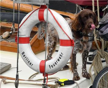 Die Plattbodenschiffe kommen nach Bremerhaven. Foto: Scheschonka