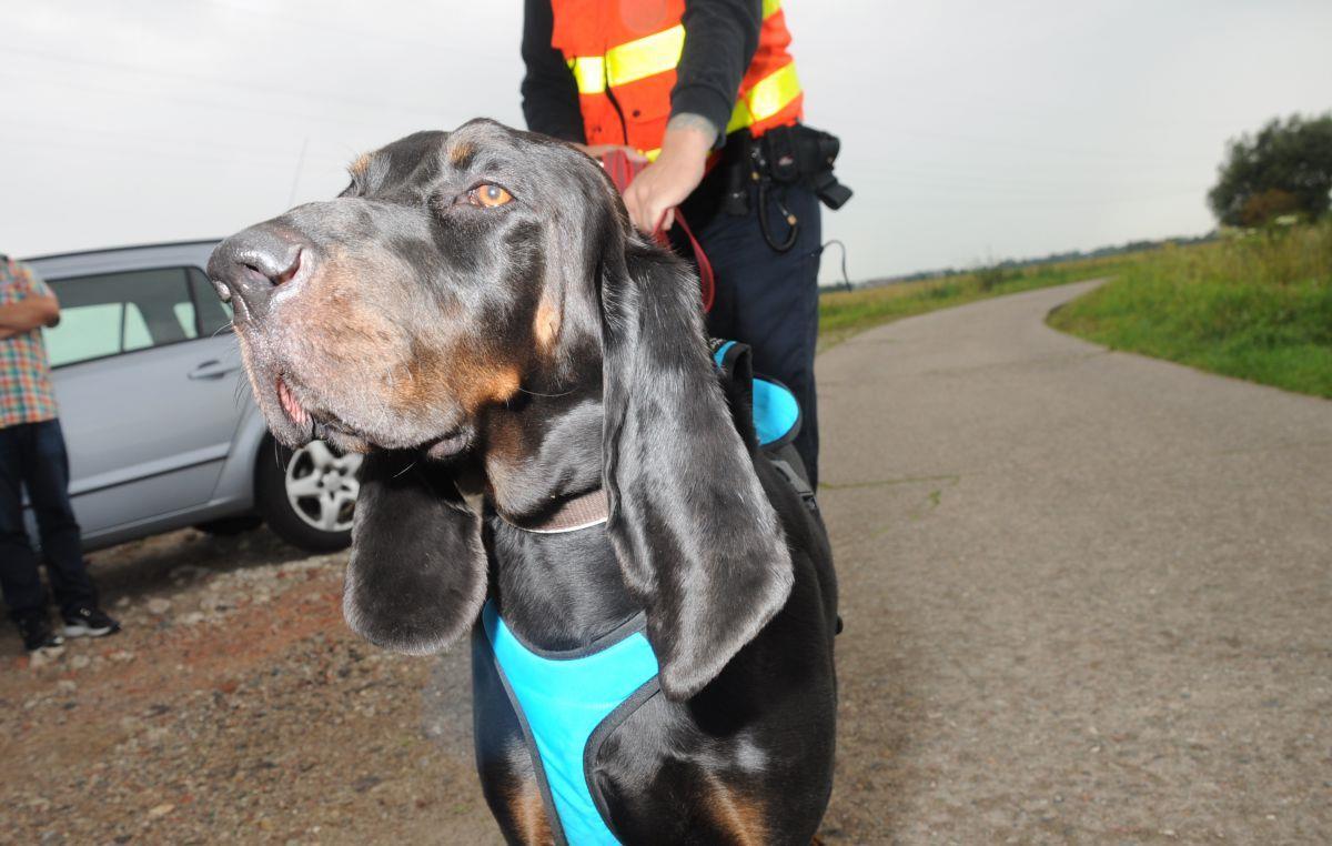 Die Polizei hat auch Spürhunde eingesetzt.