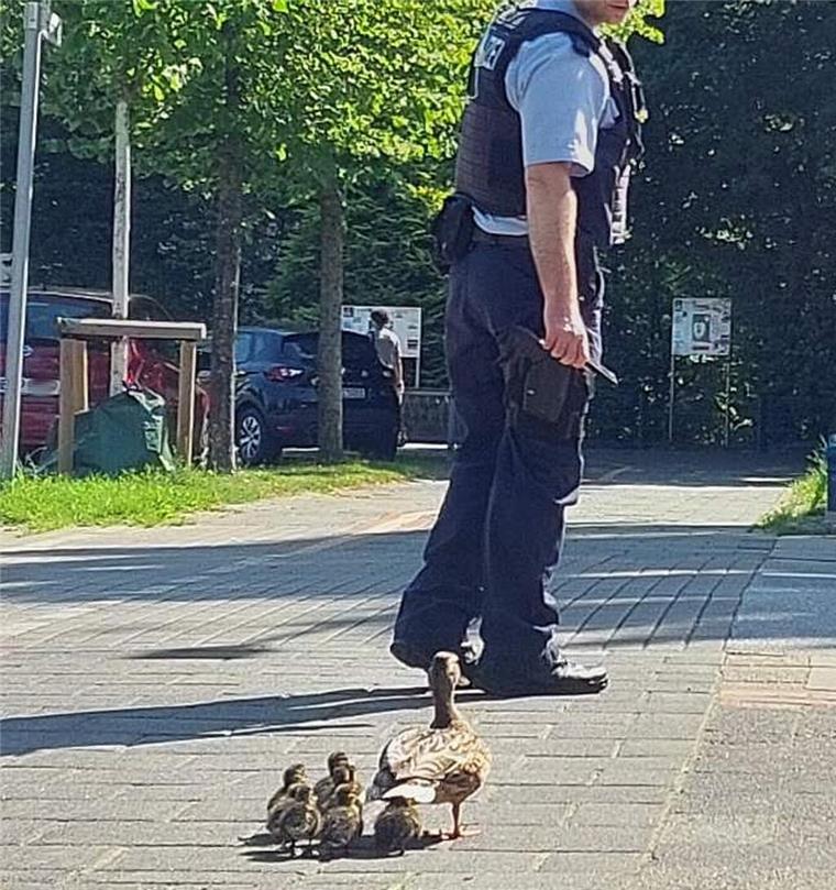 An Bahnhöfen: Polizei hilft Tieren in Not Ein Polizist läuft vor einer Entenfamilie