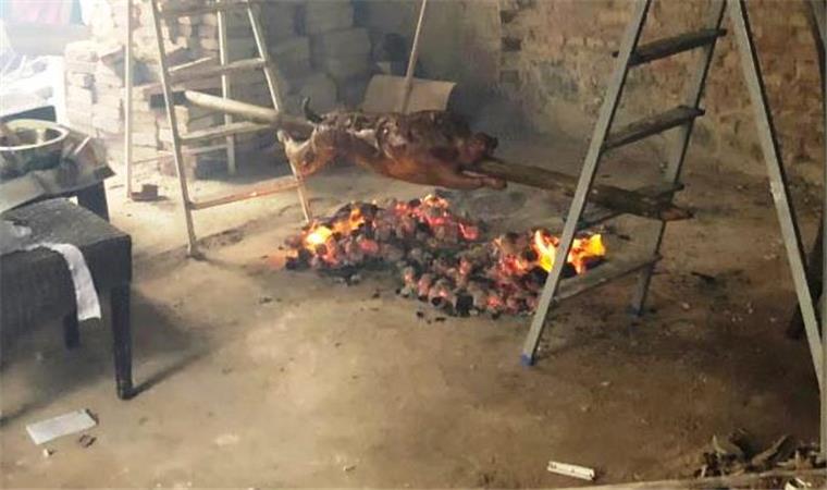 Bremerhaven: Mann grillt Schaf in unbewohntem Haus Die Polizei hat in Bremerhaven einen Mann erwischt, der in einem unbewohnten Haus ein Schaf grillen wollte.