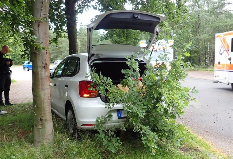 9-Jähriger fährt Auto gegen Baum verunglückter Pkw