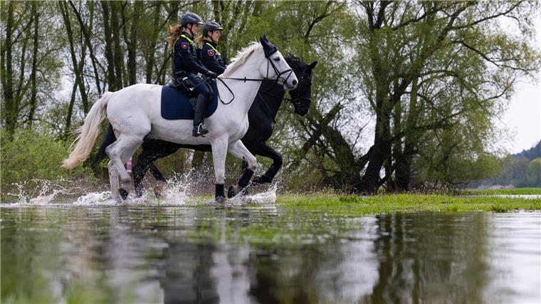 Polizeireiter an der Elbe sollen Natur und Tierwelt schützen Die Polizeireiterin Lisa-Marie Schulz (l) und Anna Hartmann reiten mit ihren Dienstpferden am Ufer der Elbe entlang.