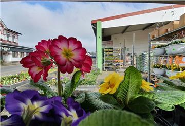 Die Raiffeisengenossenschaft Weser-Elbe hat Interesse, den Mini-Supermarkt „Tante Enso“ in ihren Raiffeisenmarkt in Spieka zu integrieren.