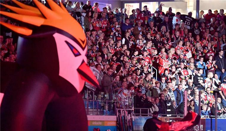 Pinguins-Fans planen Reise nach Bayern - Tschechien-Tour abgesagt Die reisefreudigen Fans der Fischtown Pingiuins gehen wieder auf Tour.
