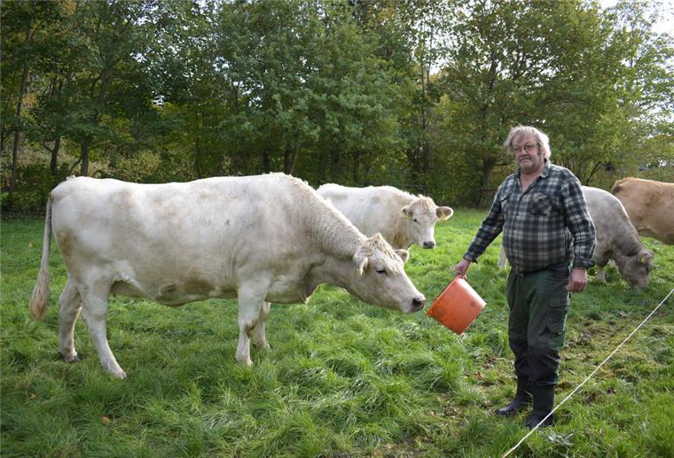 Landwirt Hans-Jürgen Behnken aus Bokel mit seinen Rindern. Ende Oktober wurde eines seiner Tiere von einem Wolf gerissen. 