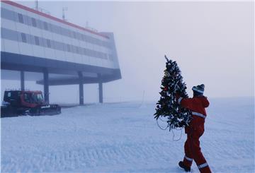 Ein Weihnachtsbaum aus Plastik wird von einem Überwinterer zur Neumayer-Station gebracht.