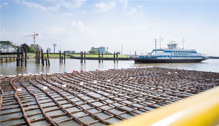 Problem bei Kajensanierung: Weidengeflecht bleibt nicht am Grund der Geeste Die Sanierungsarbeiten an der Tonnenhofkaje in Bremerhaven verzögern sich.